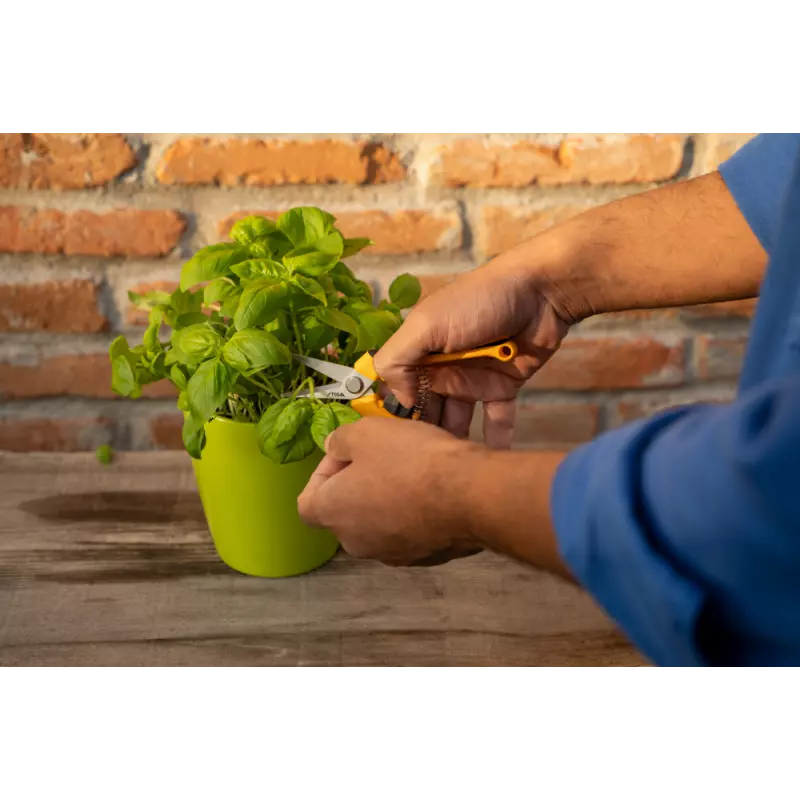 PruningSnips_2H1010001ST1_amb03_web